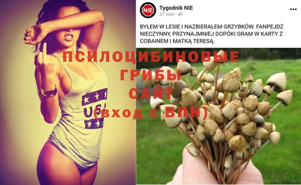 гидропоника Дмитров
