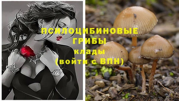 гидропоника Дмитров